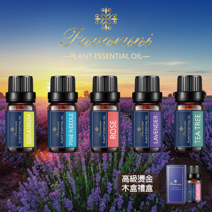 【美國Pavaruni】100%單方純植物精油 10ml